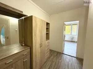 Pronájem bytu 2+kk, Most, Josefa Suka, 40 m2