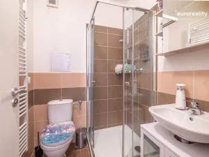 Prodej bytu 2+kk, Tachov, Na Třešňovce, 37 m2
