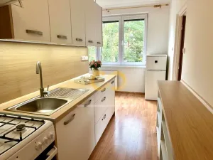 Pronájem bytu 2+1, Český Krumlov, Sídliště Plešivec, 58 m2