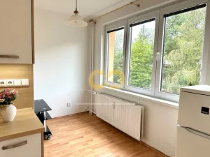 Pronájem bytu 2+1, Český Krumlov, Sídliště Plešivec, 58 m2