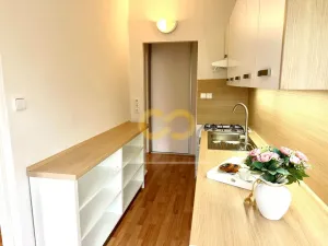 Pronájem bytu 2+1, Český Krumlov, Sídliště Plešivec, 58 m2
