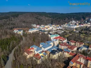 Prodej bytu 2+kk, Mariánské Lázně, Mladějovského, 41 m2