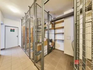 Pronájem bytu 2+kk, Úpice, Národní, 46 m2