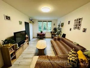Prodej bytu 2+1, Chomutov, Kamenná, 59 m2