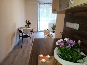 Pronájem bytu 2+kk, Brno, Oderská, 67 m2