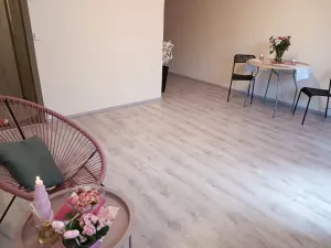 Pronájem bytu 2+kk, Brno, Oderská, 67 m2