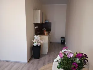 Pronájem bytu 2+kk, Brno, Oderská, 67 m2