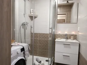 Pronájem bytu 2+kk, Brno, Oderská, 67 m2