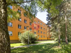 Prodej bytu 2+kk, Ostrava, Krakovská, 50 m2