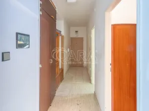 Prodej bytu 3+1, Opava - Předměstí, Olomoucká, 63 m2