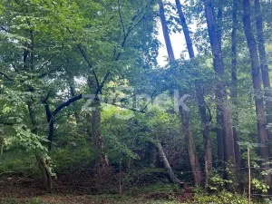 Prodej pozemku pro bydlení, Halenkovice, 1620 m2