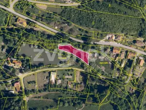 Prodej lesa, Halenkovice, 1620 m2