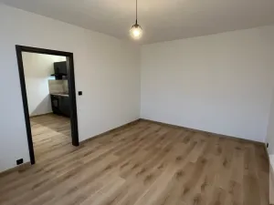 Pronájem bytu 1+1, Ústí nad Labem - Severní Terasa, Kmochova, 33 m2