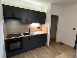 Pronájem bytu 1+1, Ústí nad Labem - Severní Terasa, Kmochova, 33 m2