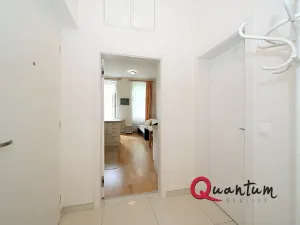Pronájem bytu 2+kk, Praha - Žižkov, Žižkovo náměstí, 58 m2