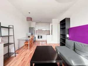 Pronájem bytu 2+kk, Plzeň, Studentská, 45 m2