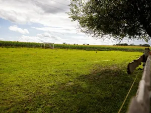 Prodej pozemku, Litíč - Nouzov, 3288 m2