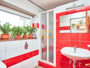 Prodej rodinného domu, Písek, U Hřebčince, 430 m2