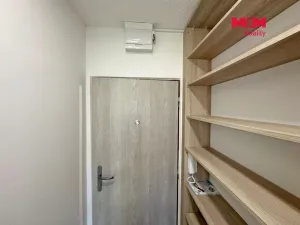 Pronájem bytu 1+kk, České Budějovice - České Budějovice 5, Dobrovodská, 20 m2