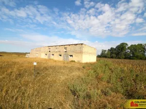 Prodej komerčního pozemku, Hrušovany nad Jevišovkou, 210 m2