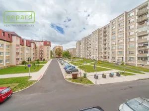 Pronájem bytu 2+kk, Sokolov, Křížová, 58 m2