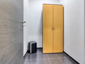 Pronájem bytu 2+kk, Plzeň, U Borských kasáren, 52 m2