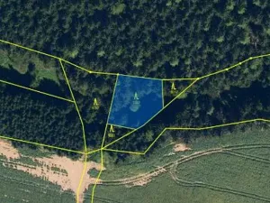 Prodej lesa, Hojovice, 985 m2