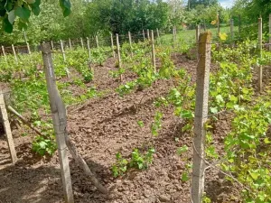 Prodej rodinného domu, Pavel, Bulharsko, 80 m2