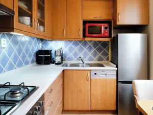 Prodej bytu 2+1, Ostrava, Zeyerova, 42 m2
