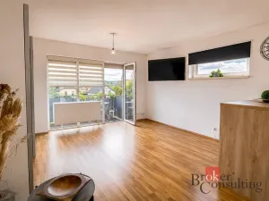 Prodej bytu 2+kk, Plzeň - Lhota, K Remízku, 57 m2