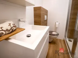 Prodej bytu 2+kk, Plzeň - Lhota, K Remízku, 57 m2
