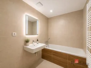 Prodej bytu 2+kk, Plzeň - Jižní Předměstí, Železná, 58 m2