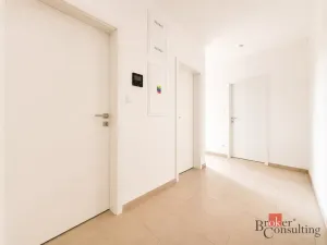 Prodej bytu 2+kk, Plzeň - Jižní Předměstí, Železná, 58 m2
