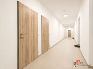 Prodej bytu 2+kk, Plzeň - Jižní Předměstí, Železná, 58 m2