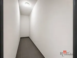 Prodej bytu 2+kk, Plzeň - Jižní Předměstí, Železná, 58 m2