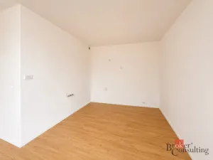 Prodej bytu 2+kk, Plzeň - Jižní Předměstí, Železná, 58 m2