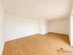 Prodej bytu 2+kk, Plzeň - Jižní Předměstí, Železná, 58 m2