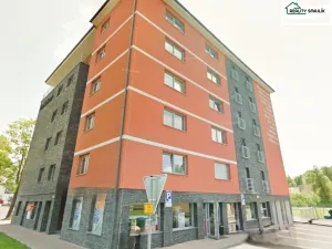 Prodej bytu 1+kk, Cheb, Havlíčkova, 46 m2