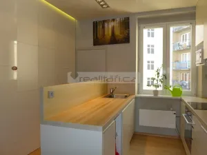 Pronájem bytu 1+1, Plzeň - Východní Předměstí, Suvorovova, 57 m2