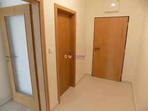 Pronájem bytu 1+kk, Praha - Hlubočepy, Vítové, 42 m2