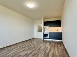 Pronájem bytu 1+kk, Ostrava, Čujkovova, 28 m2