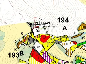 Dražba lesa, Volfířov, 557 m2