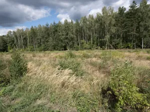 Prodej pozemku, Ralsko - Kuřívody, 1255 m2