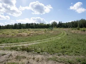 Prodej pozemku, Ralsko - Kuřívody, 1255 m2