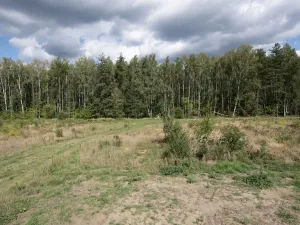 Prodej pozemku, Ralsko - Kuřívody, 1255 m2