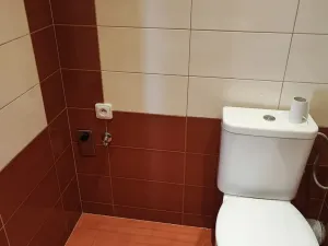 Pronájem bytu 1+1, Cheb, Hrnčířská, 36 m2