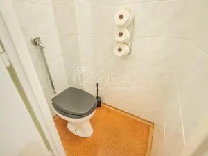 Prodej bytu 2+1, Praha - Vinohrady, Rumunská, 64 m2