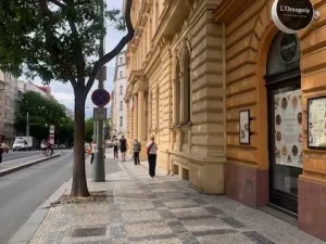 Pronájem restaurace, Praha, Francouzská, 100 m2