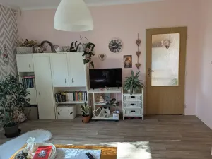 Pronájem bytu 1+1, Opava, Hany Kvapilové, 38 m2