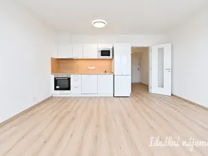 Prodej bytu 1+kk, Brno - Horní Heršpice, Jižní, 34 m2
